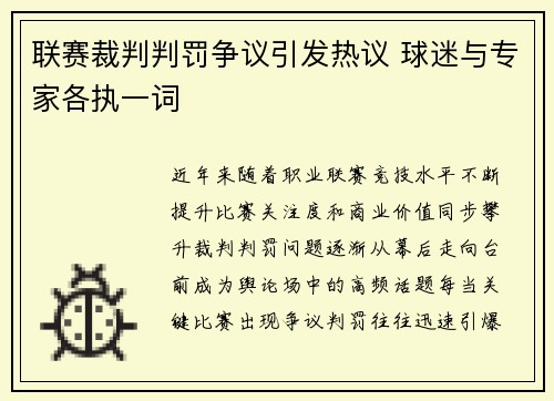联赛裁判判罚争议引发热议 球迷与专家各执一词